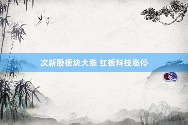 次新股板块大涨 红板科技涨停