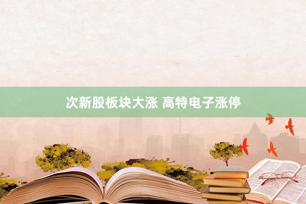 次新股板块大涨 高特电子涨停