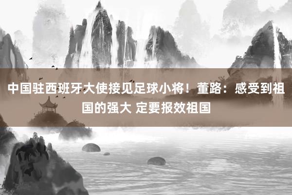 中国驻西班牙大使接见足球小将！董路：感受到祖国的强大 定要报效祖国