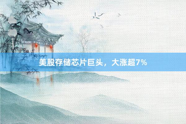 美股存储芯片巨头，大涨超7%