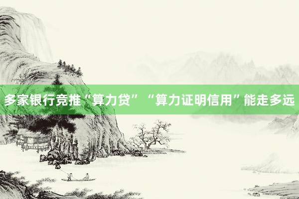 多家银行竞推“算力贷” “算力证明信用”能走多远