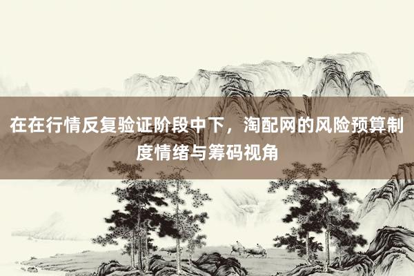 在在行情反复验证阶段中下，淘配网的风险预算制度情绪与筹码视角