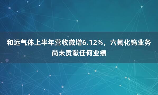 和远气体上半年营收微增6.12%，六氟化钨业务尚未贡献任何业绩