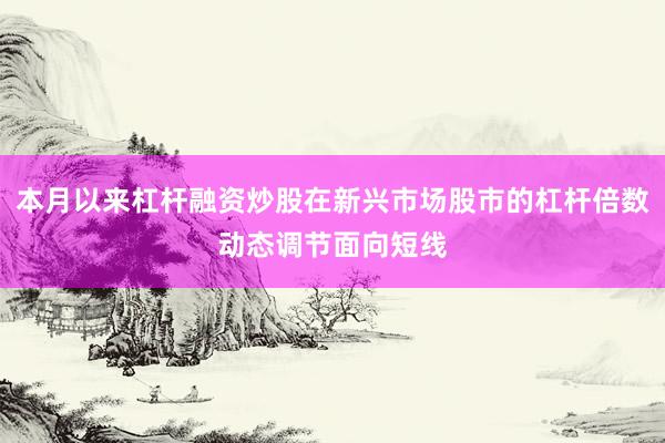 本月以来杠杆融资炒股在新兴市场股市的杠杆倍数动态调节面向短线