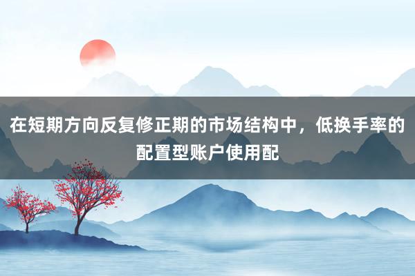在短期方向反复修正期的市场结构中，低换手率的配置型账户使用配