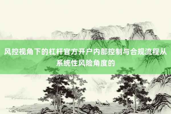 风控视角下的杠杆官方开户内部控制与合规流程从系统性风险角度的