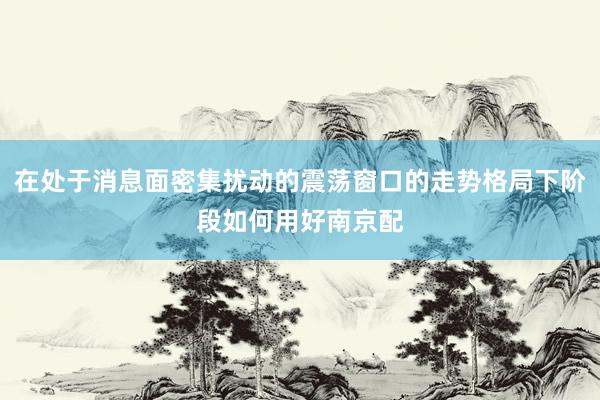 在处于消息面密集扰动的震荡窗口的走势格局下阶段如何用好南京配