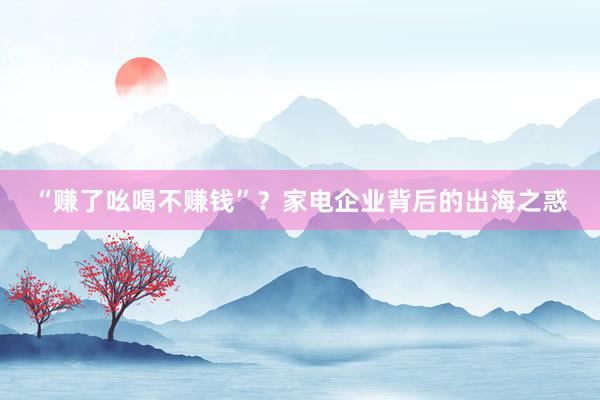 “赚了吆喝不赚钱”？家电企业背后的出海之惑