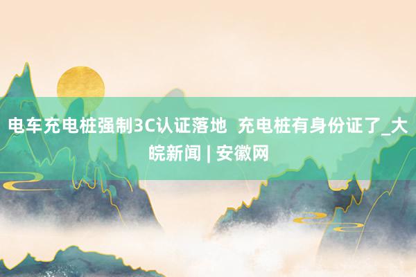 电车充电桩强制3C认证落地  充电桩有身份证了_大皖新闻 | 安徽网