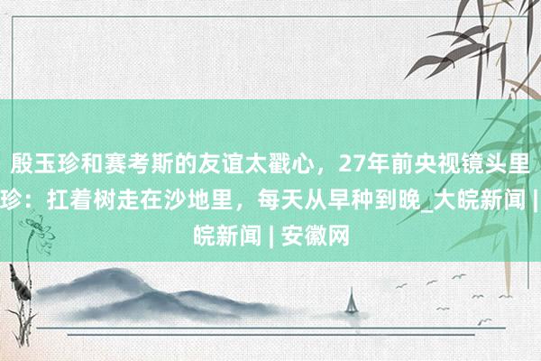 殷玉珍和赛考斯的友谊太戳心，27年前央视镜头里的殷玉珍：扛着树走在沙地里，每天从早种到晚_大皖新闻 | 安徽网