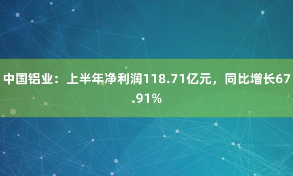 中国铝业：上半年净利润118.71亿元，同比增长67.91%