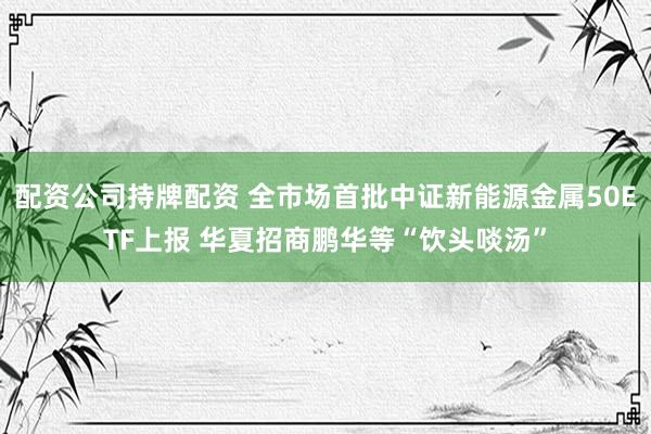 配资公司持牌配资 全市场首批中证新能源金属50ETF上报 华夏招商鹏华等“饮头啖汤”
