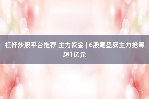 杠杆炒股平台推荐 主力资金 | 6股尾盘获主力抢筹超1亿元