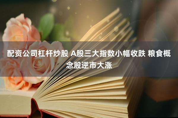 配资公司杠杆炒股 A股三大指数小幅收跌 粮食概念股逆市大涨